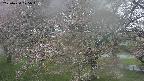 ochiai2-20250430075105.jpg