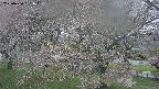 ochiai2-20250430081103.jpg