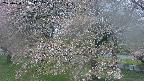 ochiai2-20250430093105.jpg