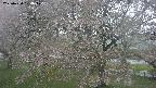ochiai2-20250430104103.jpg