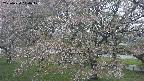ochiai2-20250430110108.jpg