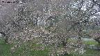 ochiai2-20250430124114.jpg