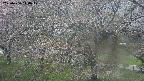 ochiai2-20250430140108.jpg