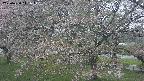 ochiai2-20250430141109.jpg