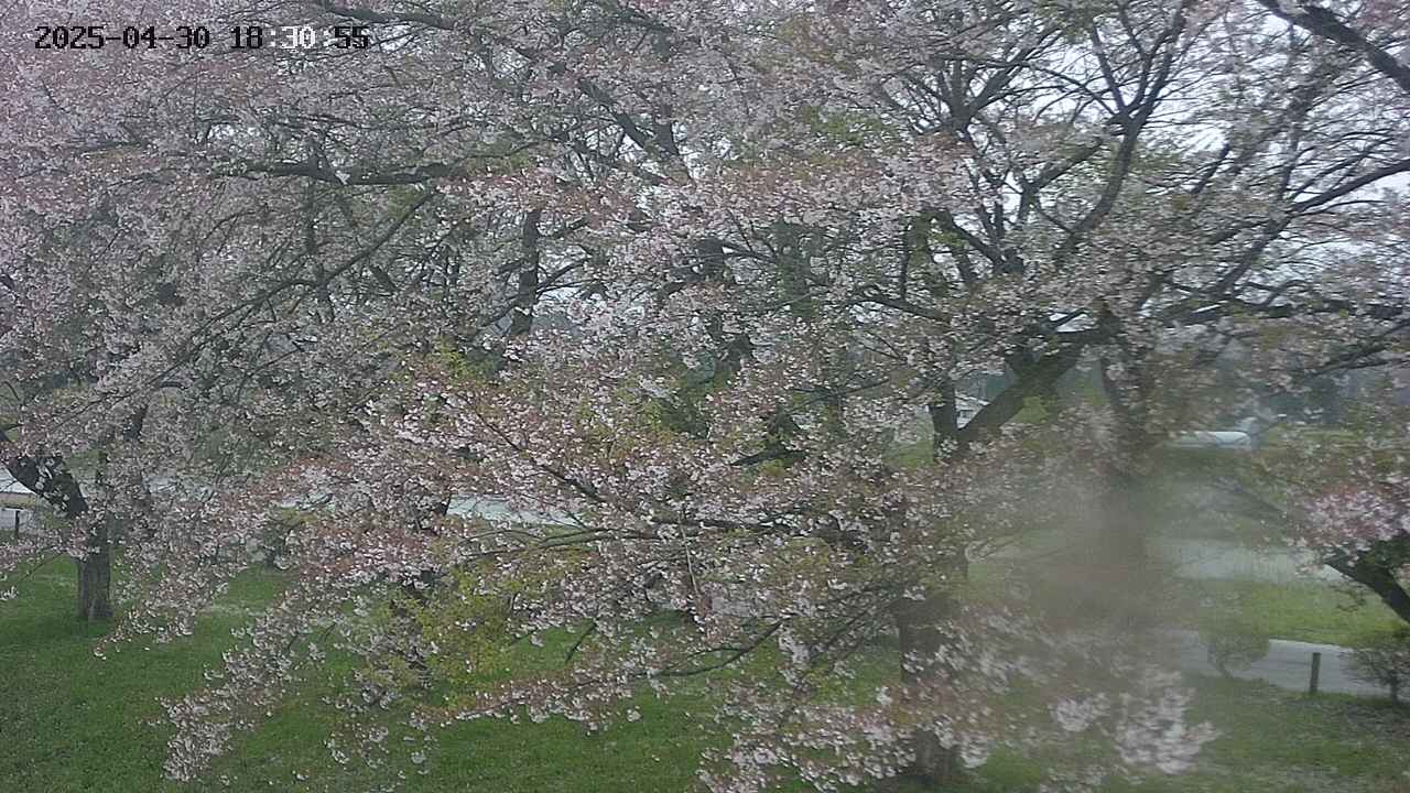 ochiai2-20250430183115.jpg