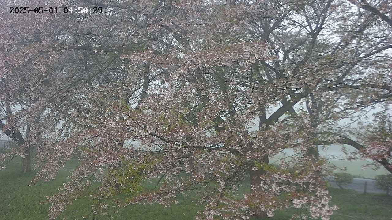 ochiai2-20250501045030.jpg