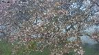 ochiai2-20250501051030.jpg