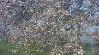 ochiai2-20250501052029.jpg