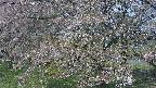 ochiai2-20250501085029.jpg