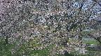 ochiai2-20250501111031.jpg