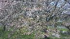 ochiai2-20250501113033.jpg