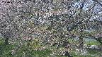 ochiai2-20250501121036.jpg