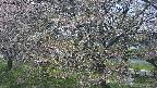 ochiai2-20250501123032.jpg