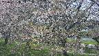 ochiai2-20250501124033.jpg