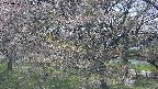 ochiai2-20250501131029.jpg