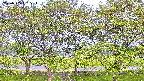 ochiai3-20230505081536.jpg