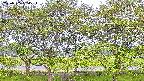 ochiai3-20230505084536.jpg