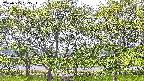 ochiai3-20230505133536.jpg