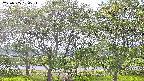 ochiai3-20230505150536.jpg