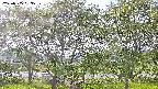 ochiai3-20230505153538.jpg
