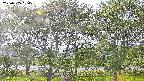 ochiai3-20230505154537.jpg