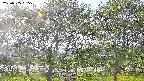 ochiai3-20230505155537.jpg