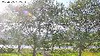 ochiai3-20230505162537.jpg