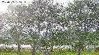 ochiai3-20230505165536.jpg