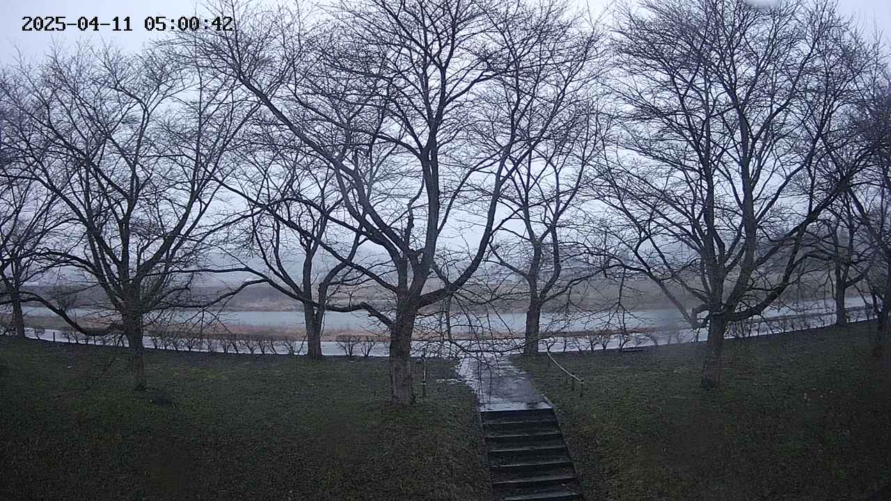 ochiai3-20250411050044.jpg