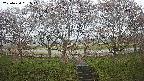 ochiai3-20250420061042.jpg