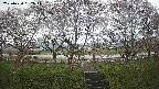 ochiai3-20250420082043.jpg