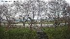 ochiai3-20250420083043.jpg