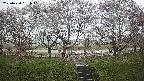 ochiai3-20250420091042.jpg