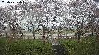 ochiai3-20250420104044.jpg