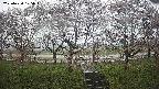 ochiai3-20250420105044.jpg