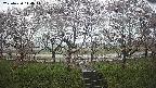 ochiai3-20250420110043.jpg