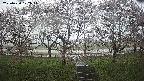 ochiai3-20250420122046.jpg