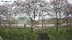 ochiai3-20250420155044.jpg
