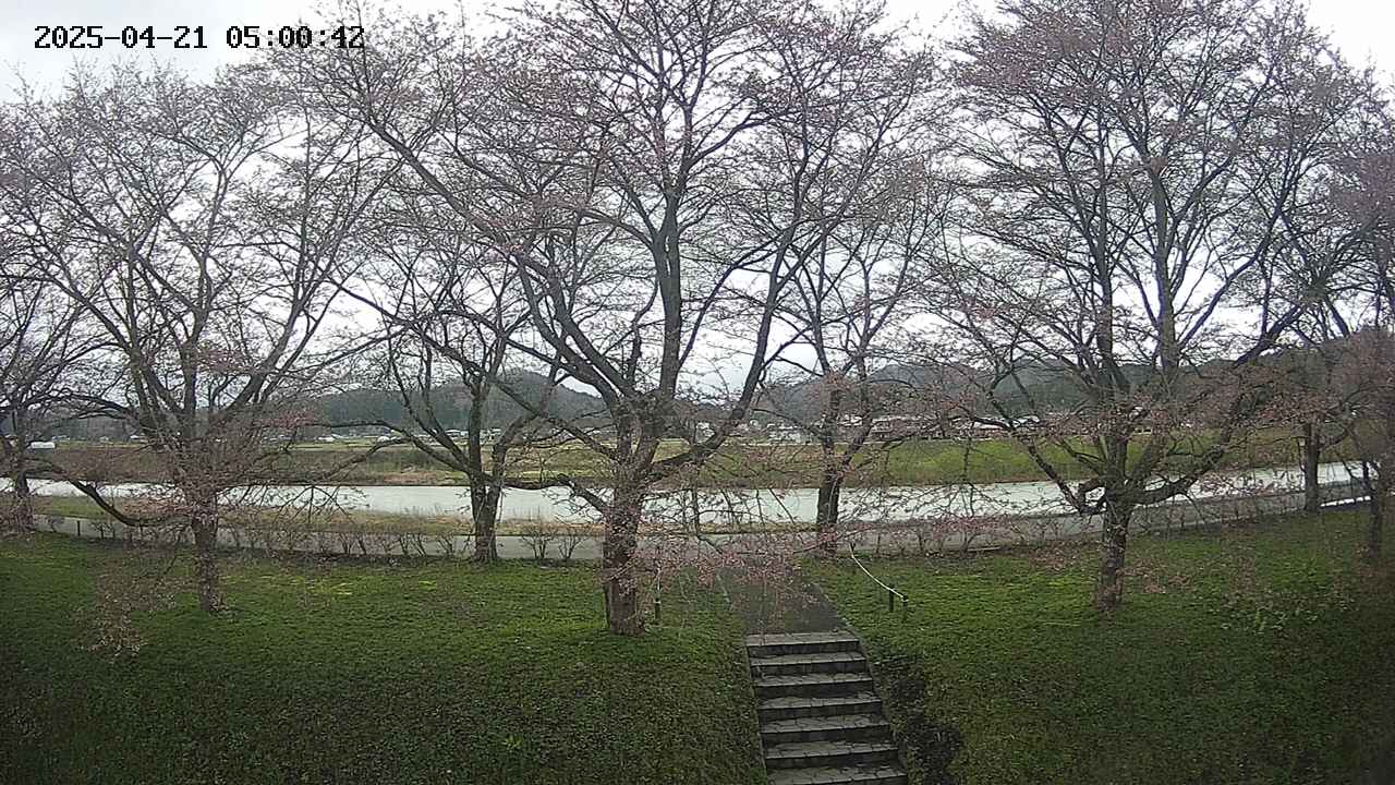 ochiai3-20250421050044.jpg
