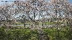 ochiai3-20250422122050.jpg
