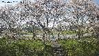ochiai3-20250422131050.jpg
