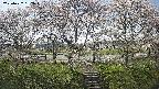 ochiai3-20250422132046.jpg