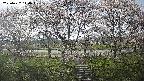 ochiai3-20250422140045.jpg