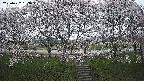 ochiai3-20250422183045.jpg