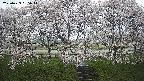 ochiai3-20250423065043.jpg