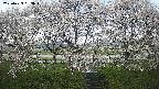 ochiai3-20250423083045.jpg