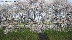 ochiai3-20250423090045.jpg