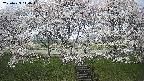 ochiai3-20250423114101.jpg
