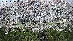 ochiai3-20250423115042.jpg