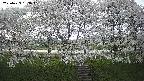 ochiai3-20250423163042.jpg